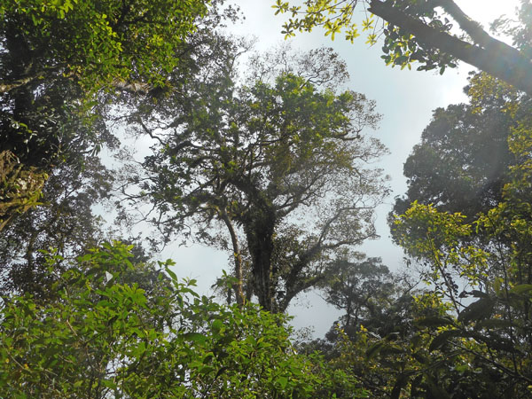 Costa Rica