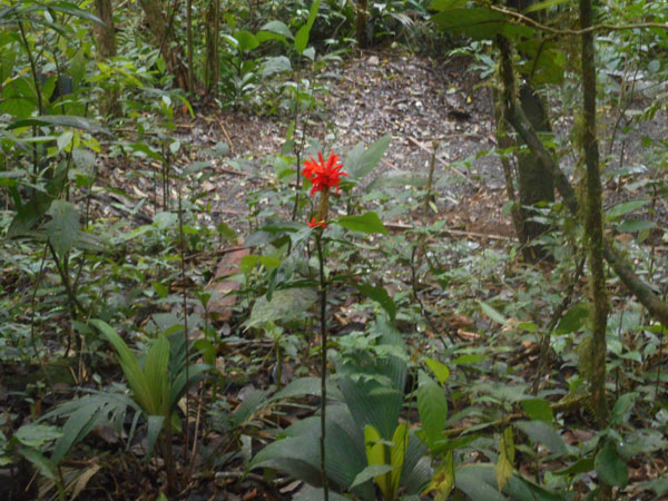 Costa Rica