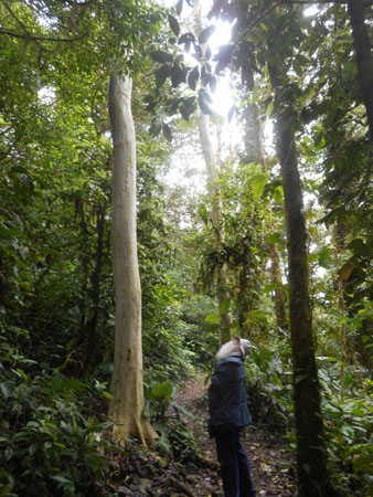 Costa Rica