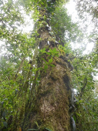 Costa Rica