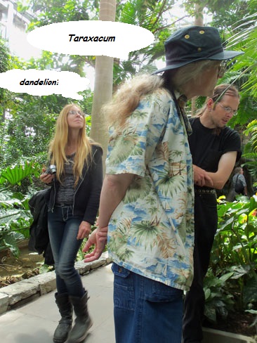 Karen, Mary and Jeremy discussing taxonomic conundrums