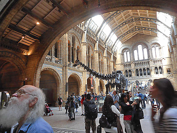 Natural History Museum