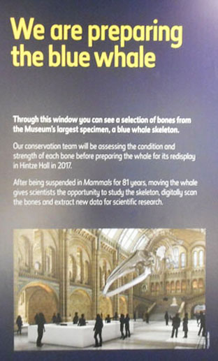 Natural History Museum