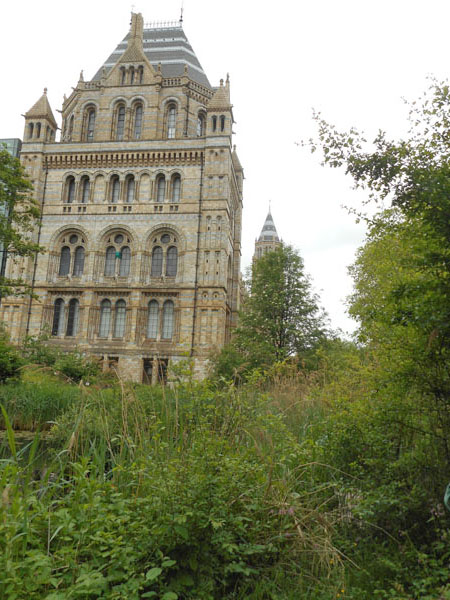 Natural History Museum