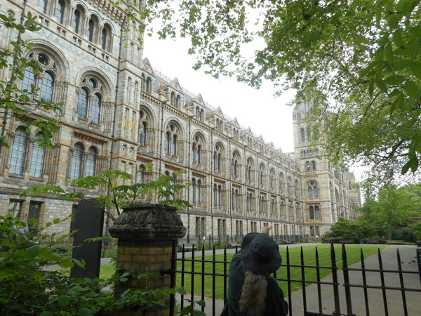 Natural History Museum