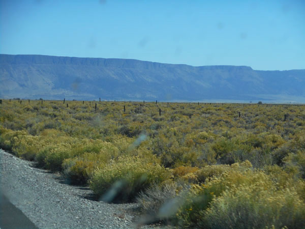 To Steens Mt. OR