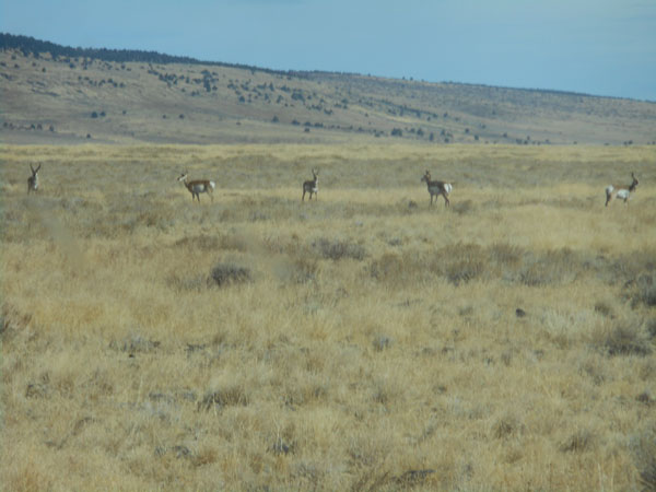 To Steens Mt. OR