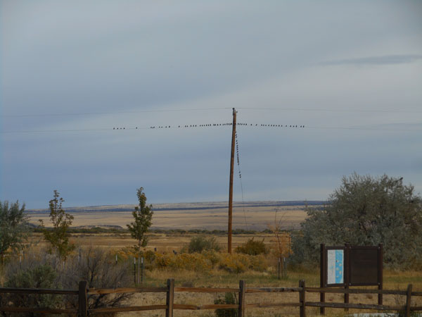 To Steens Mt. OR