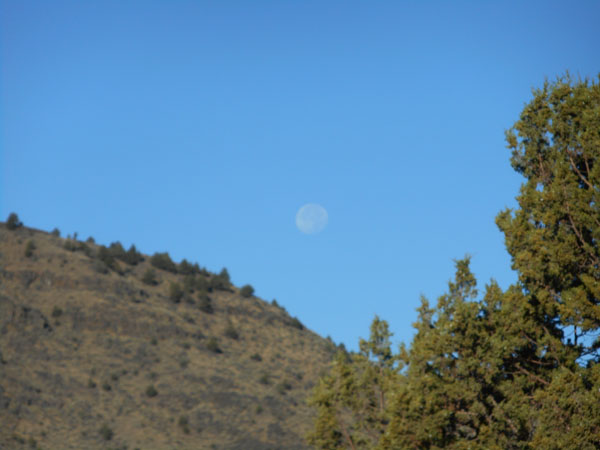 To Steens Mt. OR