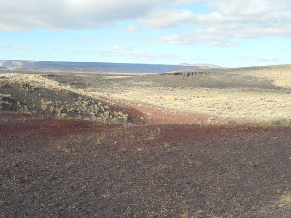 To Steens Mt. OR