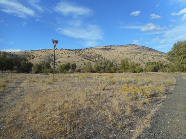 To Steens Mt. OR