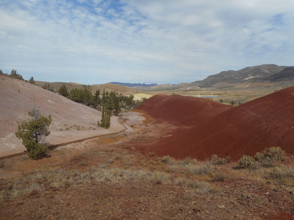 To Steens Mt. OR