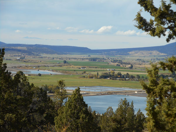 To Steens Mt. OR