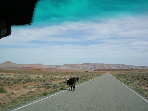 sw us 2010