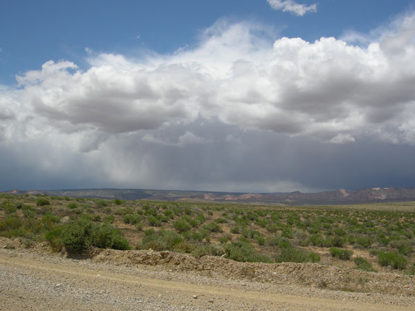 sw us 2010