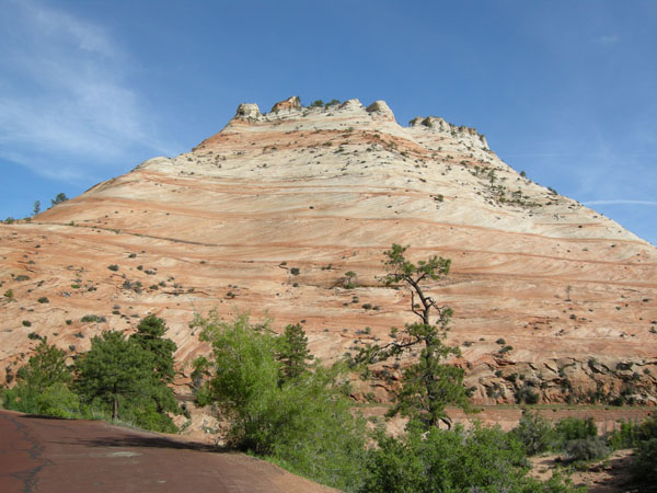 sw us 2010