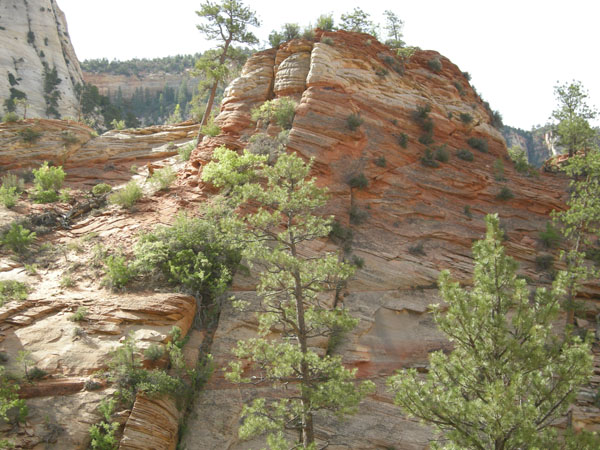 sw us 2010