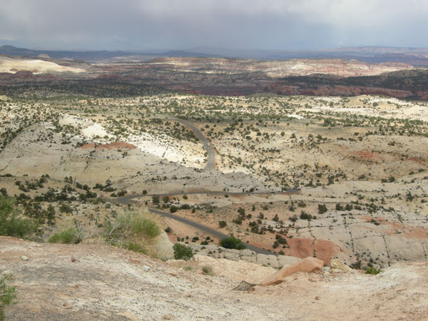 sw us 2010