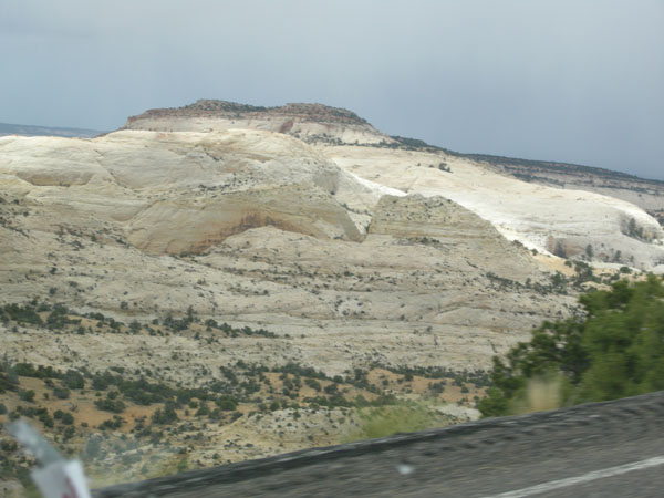 sw us 2010